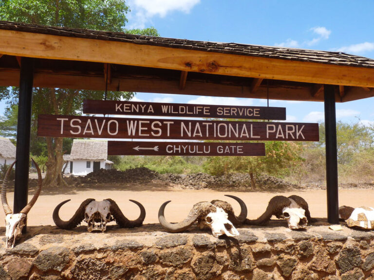 Tsavo-west-national-park-Kenya-Tsavo-East-Elephants-lozitours.co.keafaris-kenya