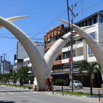 mombasacitytourswithlozitours.co.ke.fw