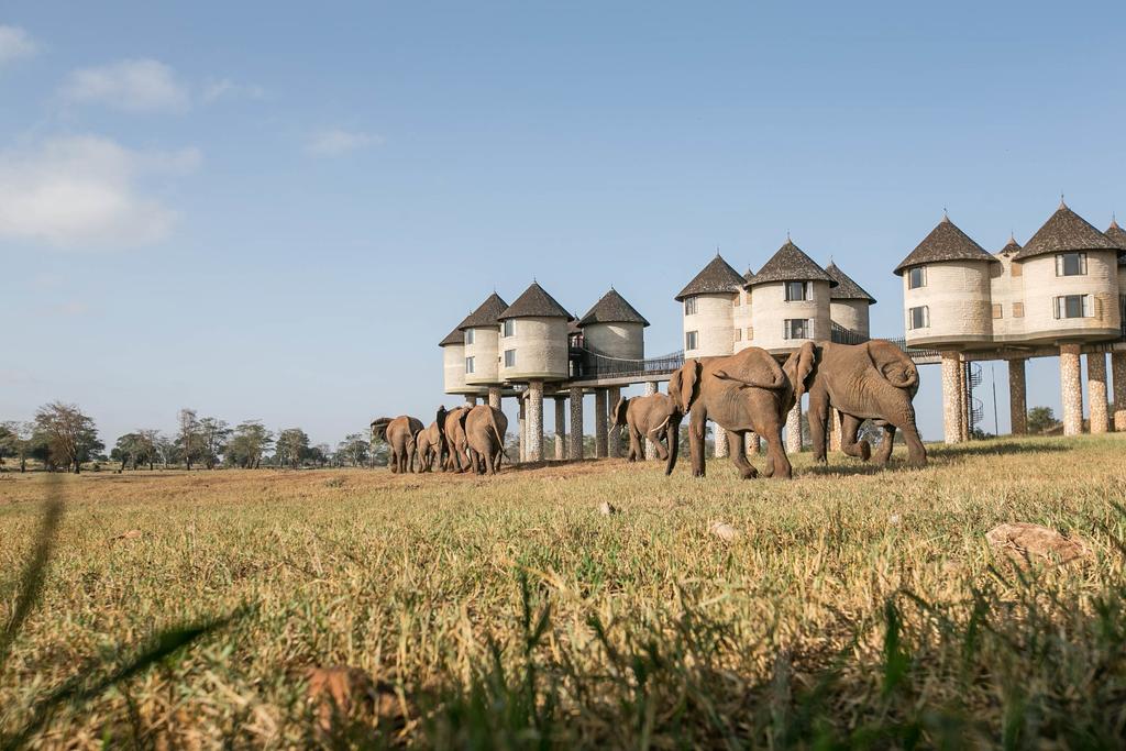 lozitours.co.ke-sarova-saltlick-game-lodge-tsavo-taita-hills