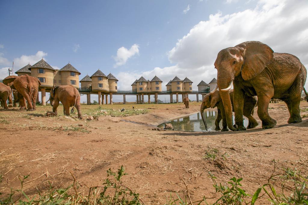 lozitours.co.ke-sarova-saltlick-game-lodge-tsavo-taita-hills