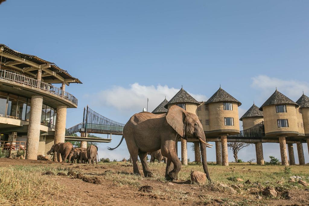 lozitours.co.ke-sarova-saltlick-game-lodge-tsavo-taita-hills