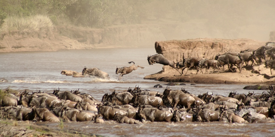 lozitours.co.ke-safaris-kenya-maasai-mra-feature-flight