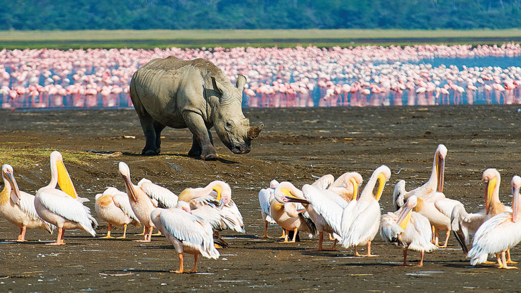 lake-nakuru-dreamtours.co.ke-nakuru-sopa