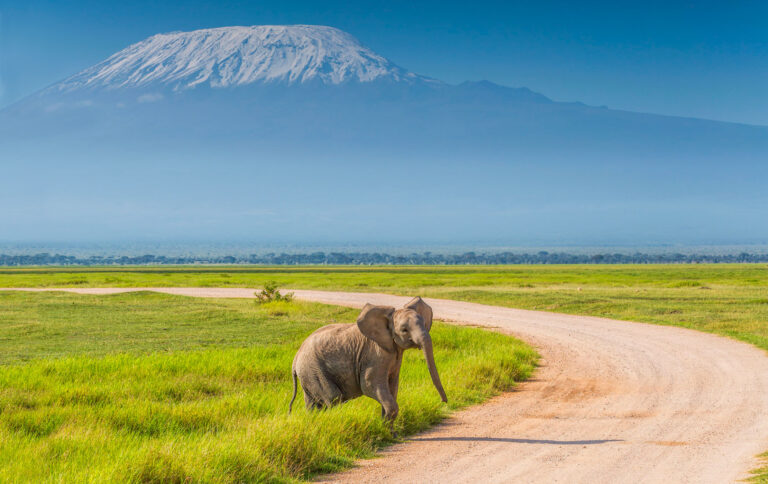 plain-view-elephant-Amboseli-pool-with-kilimanjaro-in-view-amboseli-sopa-lodge-lozitours.co.ke.co.ke-kenya